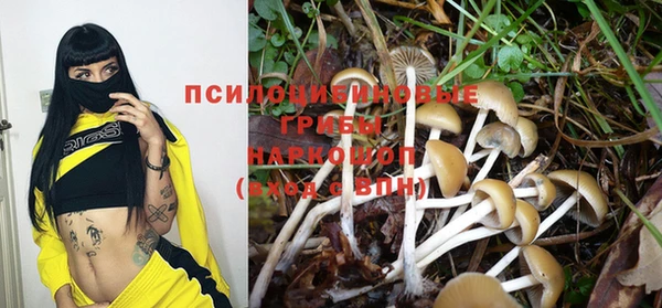 стафф Армянск