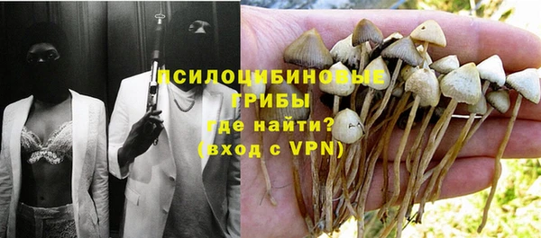стафф Армянск