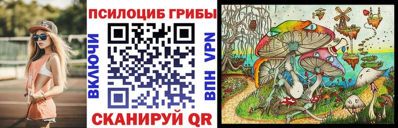 Псилоцибиновые грибы ЛСД Боготол